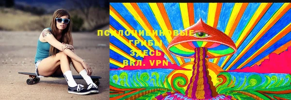 гидра Алексин