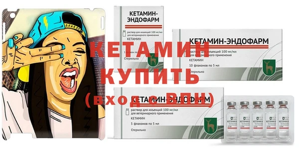 гидра Алексин